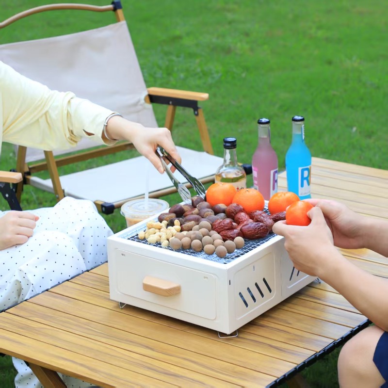 Draagbare houtskool BBQ grill  - Camping Cooking Area recensie en prijs