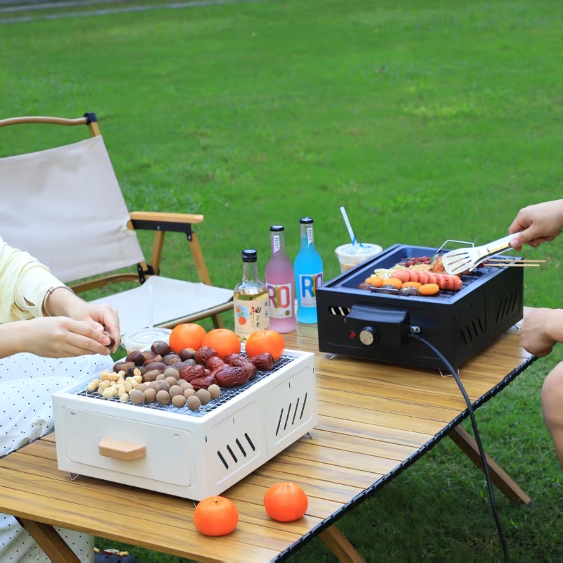 Draagbare houtskool BBQ grill  - Camping Cooking Area recensie en prijs